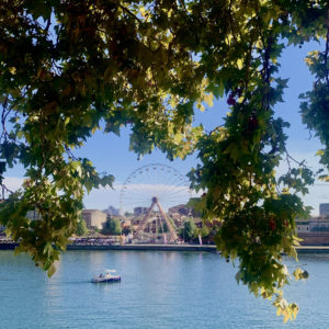 Location de bateaux électriques à Toulouse